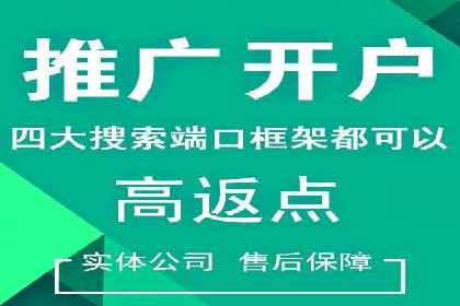 热门信息流广告投放公司案例分析